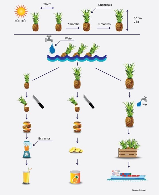 Writing January structures